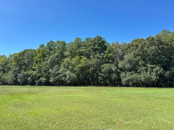 371 Austin Swamp Ln, Ridgeville, SC 29472