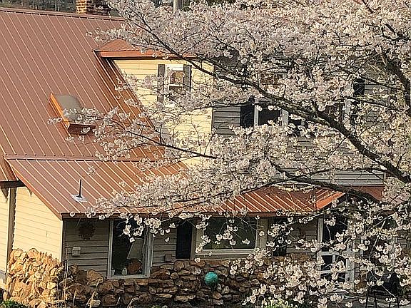 New roof 