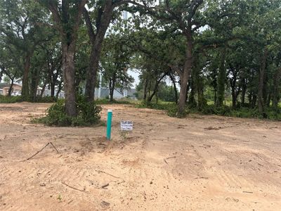 405 Peace Lily Way, Tolar, TX, 76476
