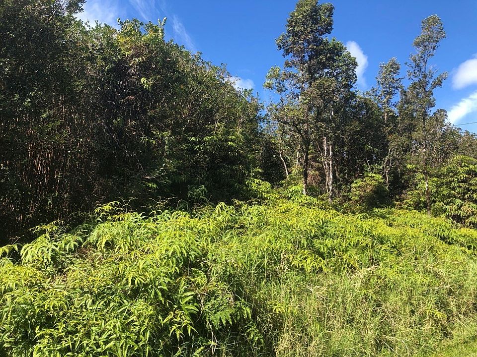 2nd image of Plumeria St Lot 6640
