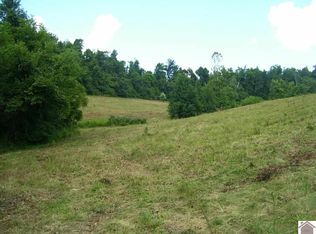 313 Crider Dulaney Rd, Princeton, KY 42445