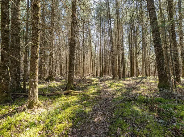 0 Clover Road S, Winter, WI 54896