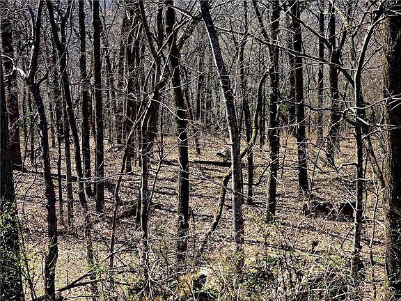 4th image of 19743 Hale Mountain Rd