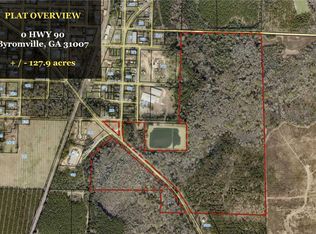 0 Highway 90, Byromville, GA 31007