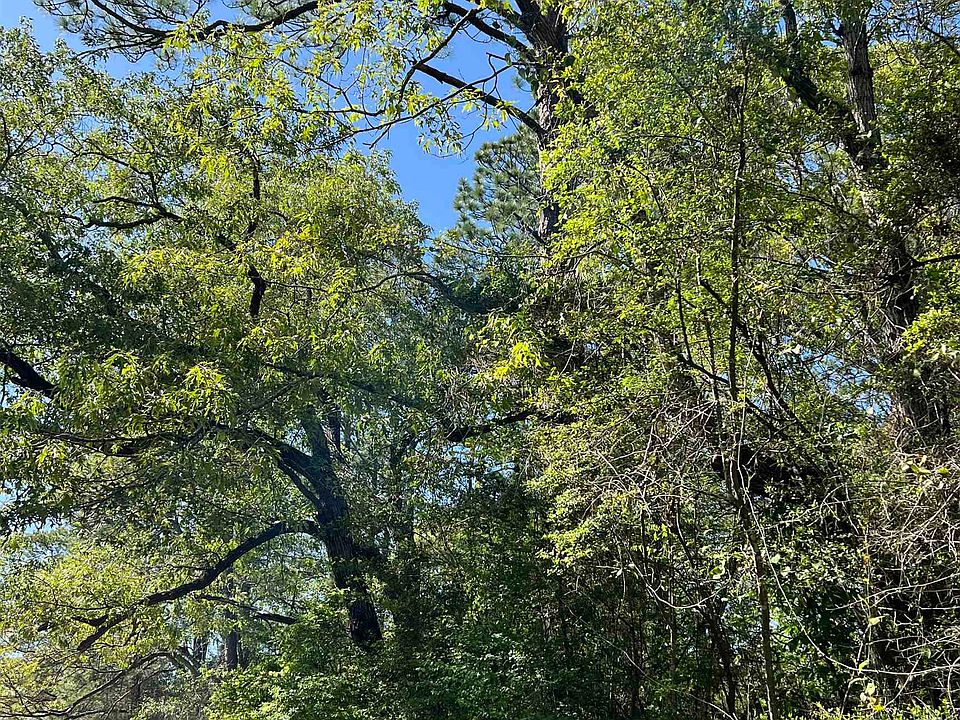 2nd image of 370 County Road 222