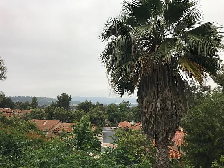 1827 Lanai St — Photo 17