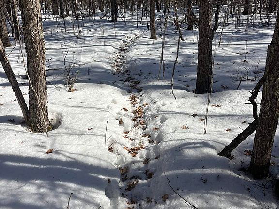 5th image of 0 Pocahontas Trail Unit 6