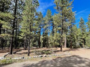 49 Ranch Rd, Bayfield, CO 81122