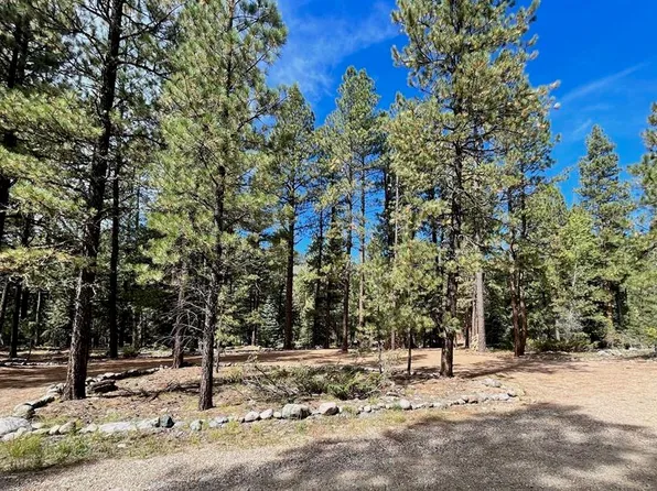 49 Ranch Road, Vallecito Lake/Bayfield, CO 81122