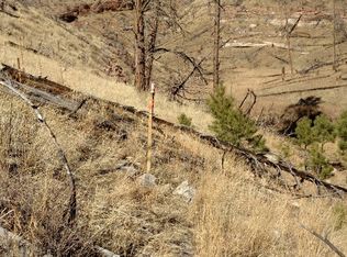 13546 Lisa Ln, Woodland Park, CO 80863