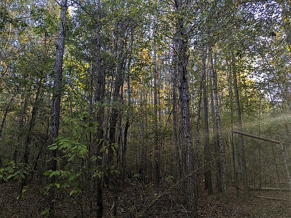 3rd image of 0 Cedar Grove Rd