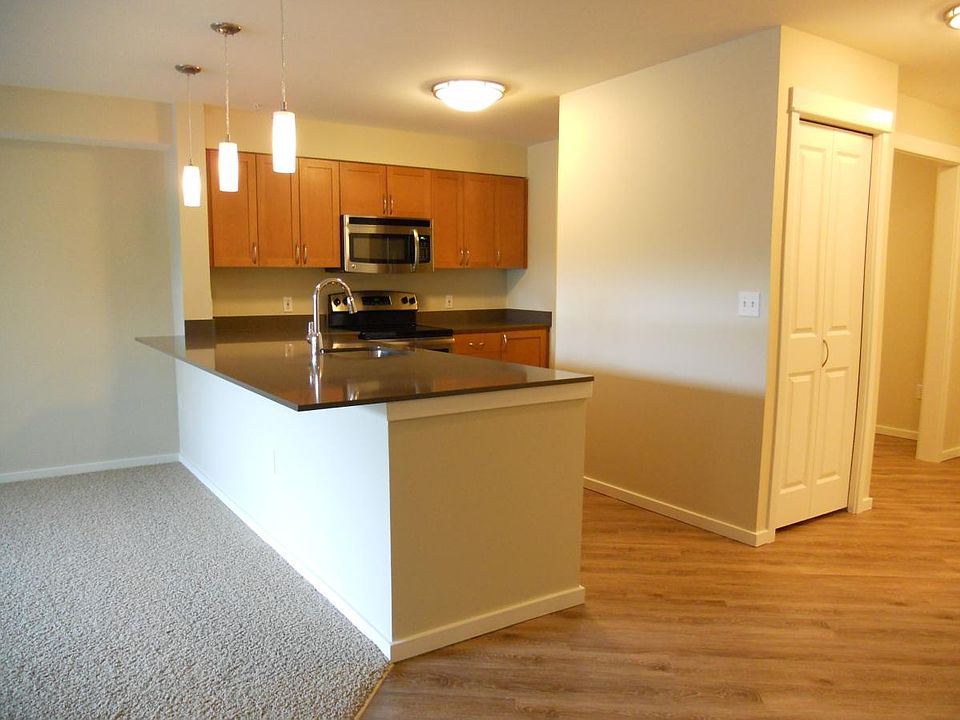 Sparkling quartz counters & stainless steel appliances