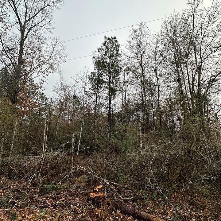 2nd image of 1120 Pin Oak Dr