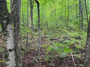 M64 Tbd M64, Marenisco, MI 49947