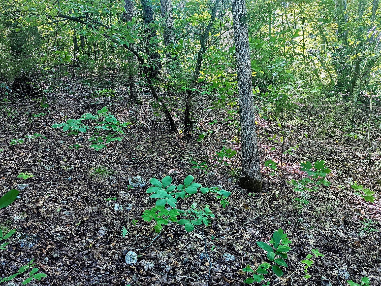 Lot 5 Silvercliff Way