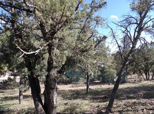 906 S Manzanita Dr #144, Payson, AZ 85541