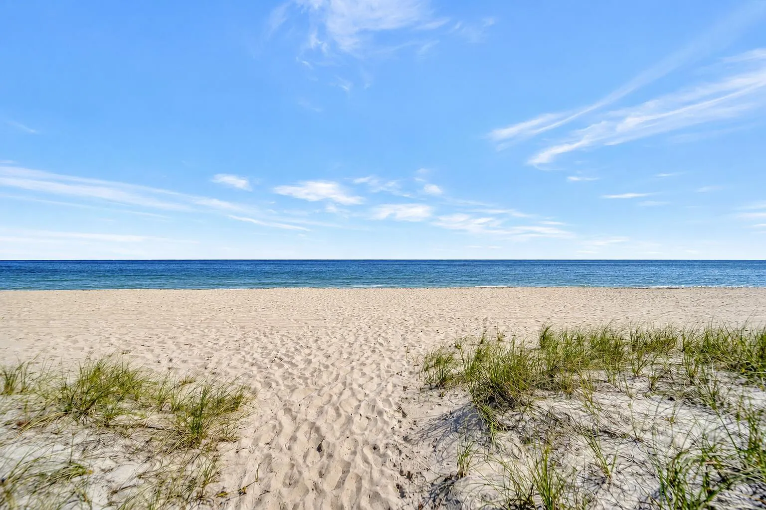 1 bed, 1.0 bath, 535 sqft, $2,100 — Photo 3