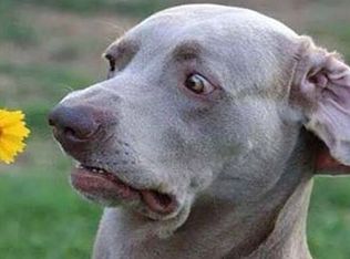 4517 E Grandview Rd, Phoenix, AZ 85032