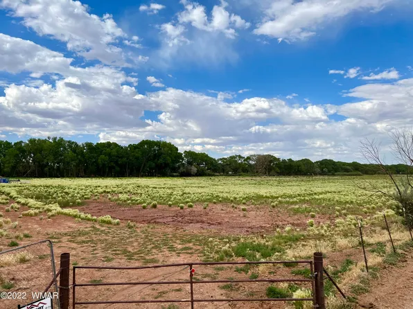 662 E 1/2 St N, Snowflake, AZ 85937
