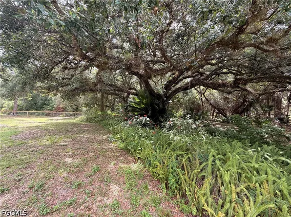 18251 Persimmon Ridge Rd, Alva, FL 33920