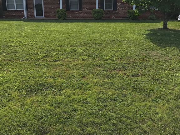 Big front yard