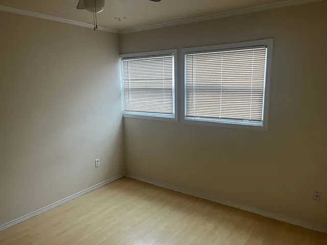 Studio, 200 sqft, $600 — Photo 4