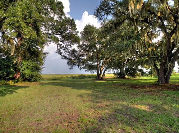 5th image of 46 Frederica Oaks Ln