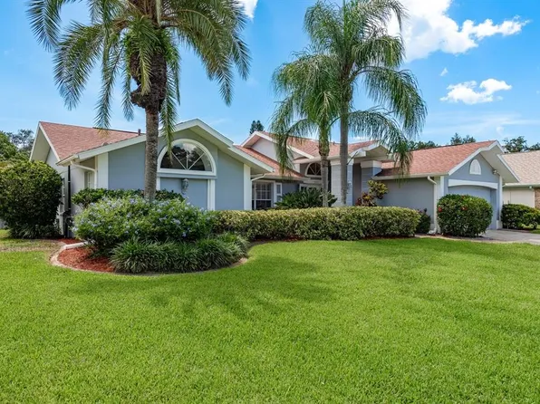 2800 Resnik Cir W, Palm Harbor, FL 34683