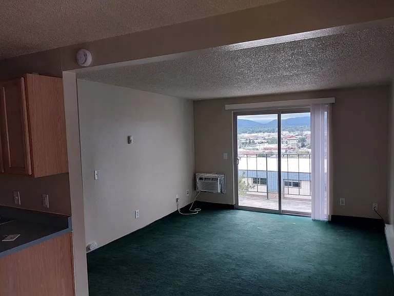345 N 5th St #61 — Photo 6