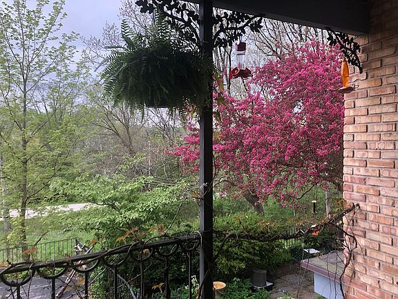 Watch the birds in peace.