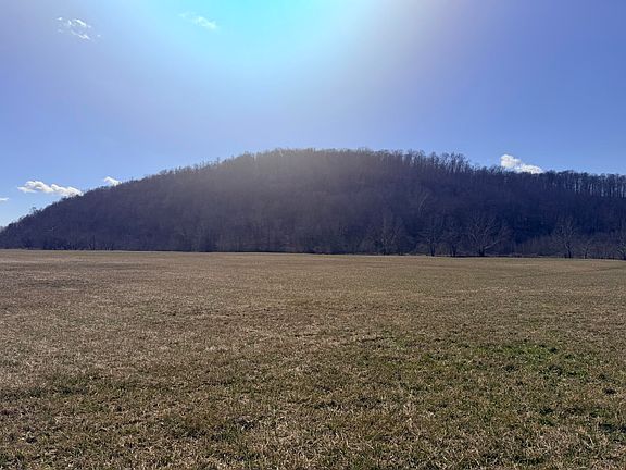 5th image of 658 Wildie Rd