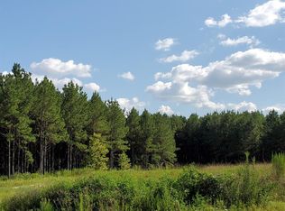 1308 E Clamon Country Rd, Livingston, TX 77351