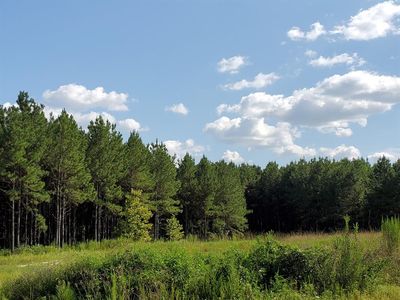 1308 E Clamon Country Rd, Livingston, TX, 77351
