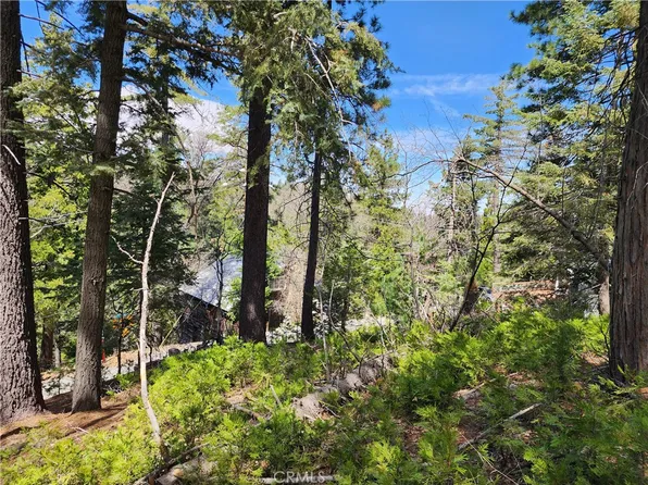 586 Rose Ln Lot 6, Twin Peaks, CA 92391