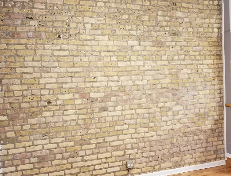 533 N Ashland Ave #2 — Photo 10
