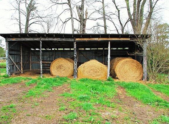 4th image of 12398 Coates Ln