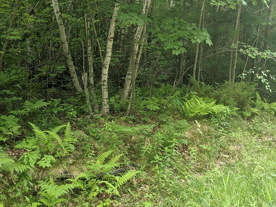 2nd image of TBD Loring Lane