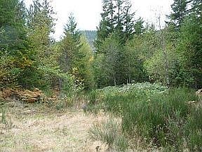 2nd image of 60629 Kitsap Ct