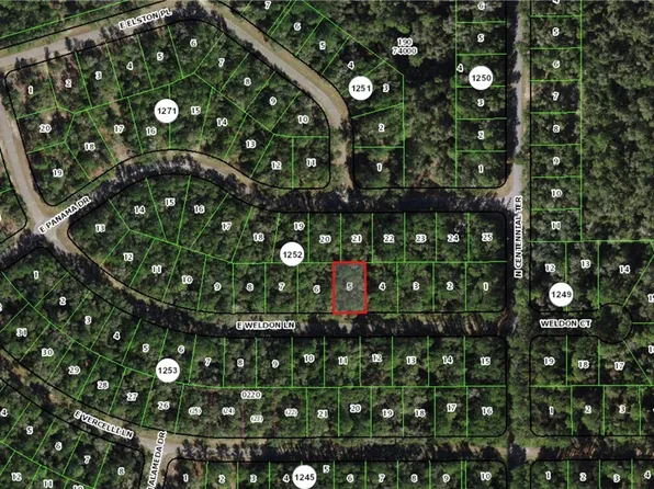 887 E Weldon Ln, Citrus Springs, FL 34434