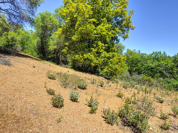 4th image of North Circle Drive