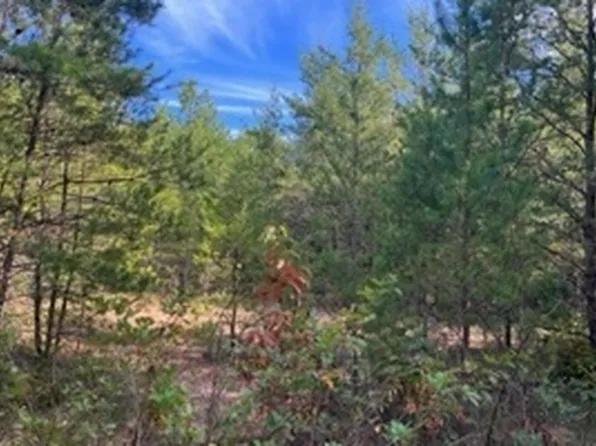 Point Rd, Blairsville, GA 30512