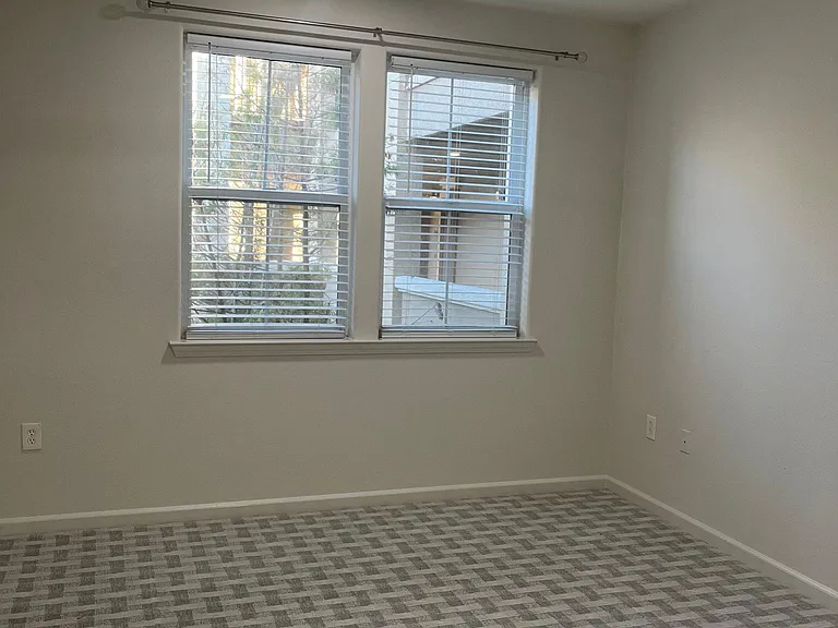 49002 Cinnamon Fern Cmn #321 — Photo 26
