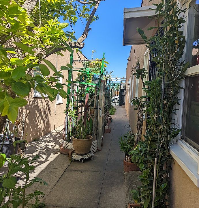 Courtyard in full bloom.