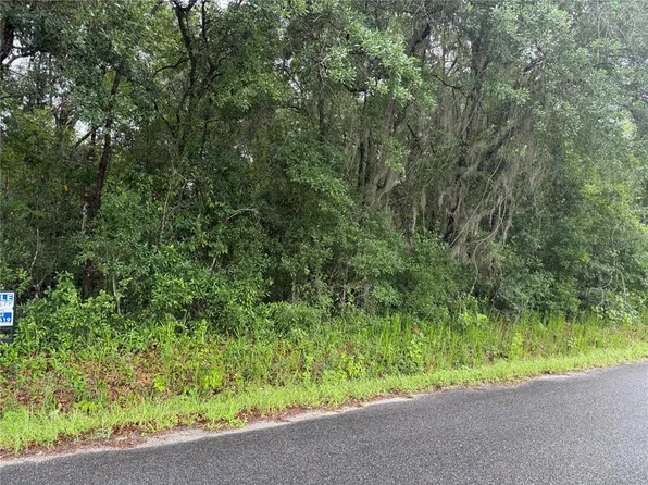 241 Dog Branch Rd E Lot 19, East Palatka, FL 32131