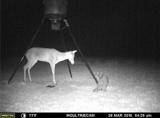 382 Fm 2035, Merkel, TX 79536