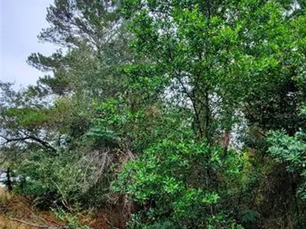 3584 Diagonal Ln #15, Spring Hill, FL 34606