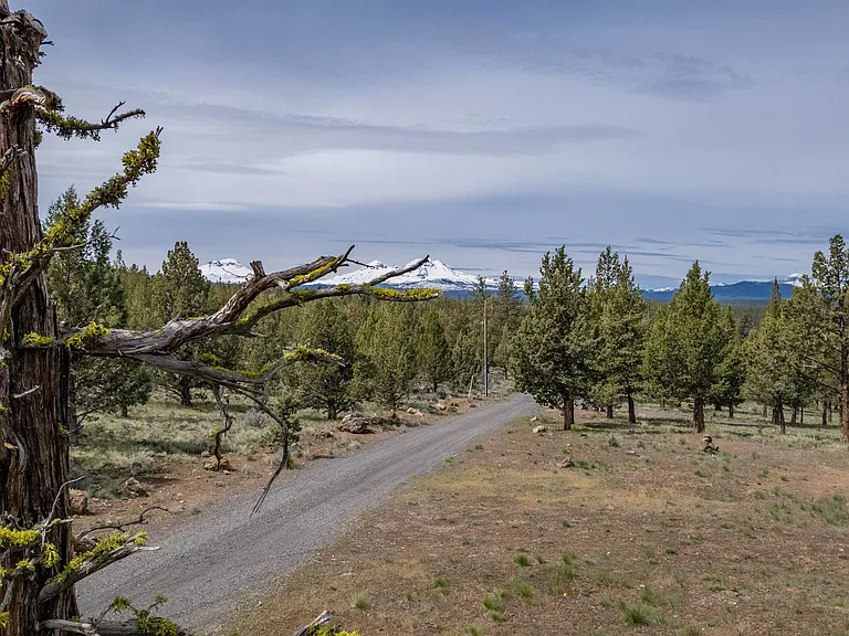 16855 Ponderosa Cascade Dr — Photo 46