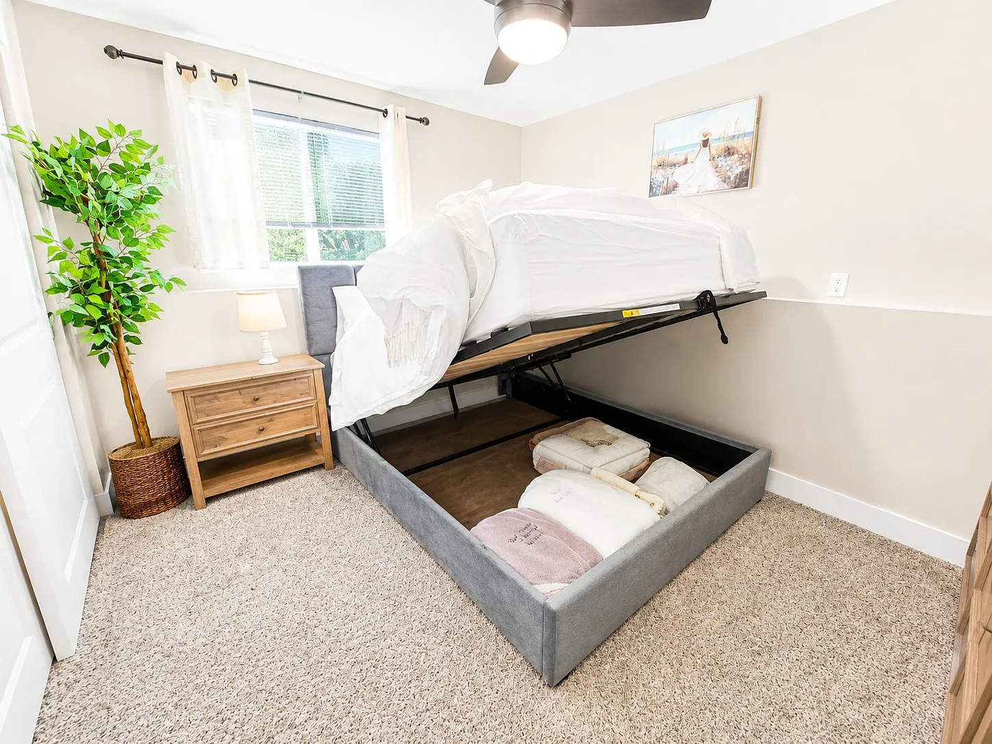 2 bed, 800 sqft, $1,000 — Photo 2