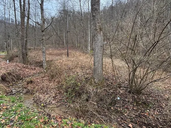 0 Henrys Br, Langley, KY 41645