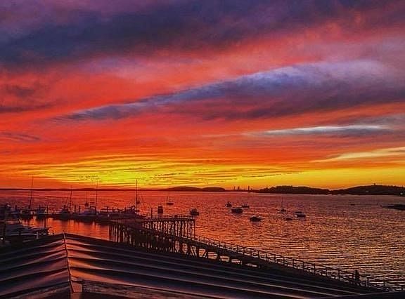 3rd image of 63 Halvorsen Ave